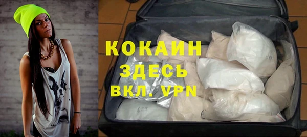 твердый Алексин